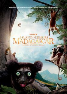 马达加斯加：狐猴之岛