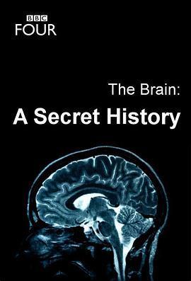 大脑：神秘的历史第一季