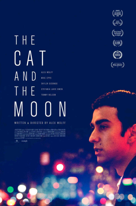 猫与月亮