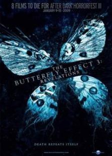 蝴蝶效应3：启示（2009）