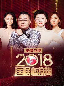 安徽卫视国剧盛典2018