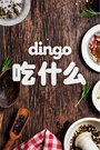 dingo吃什么2016