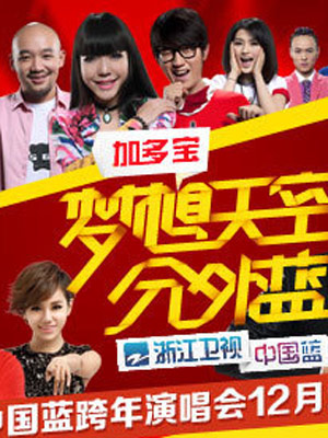 浙江卫视2013跨年晚会