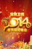 深圳卫视春节特别节目2014