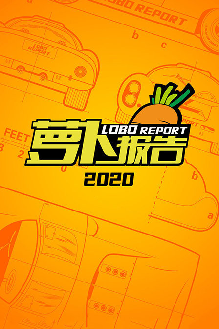 萝卜报告2020