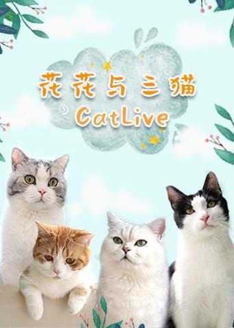 花花与三猫CatLive2020