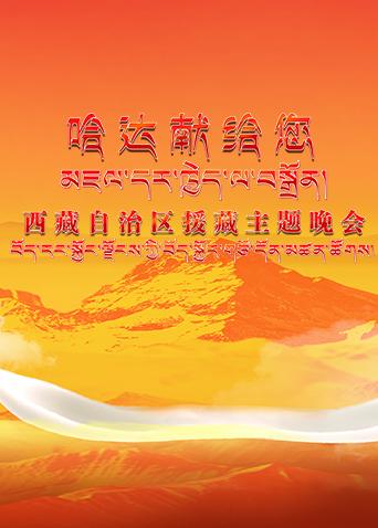 《哈达献给您》西藏自治区援藏主题晚会